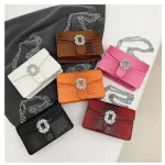Trendy bag with stones ASC316