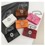 Trendy bag with stones ASC316